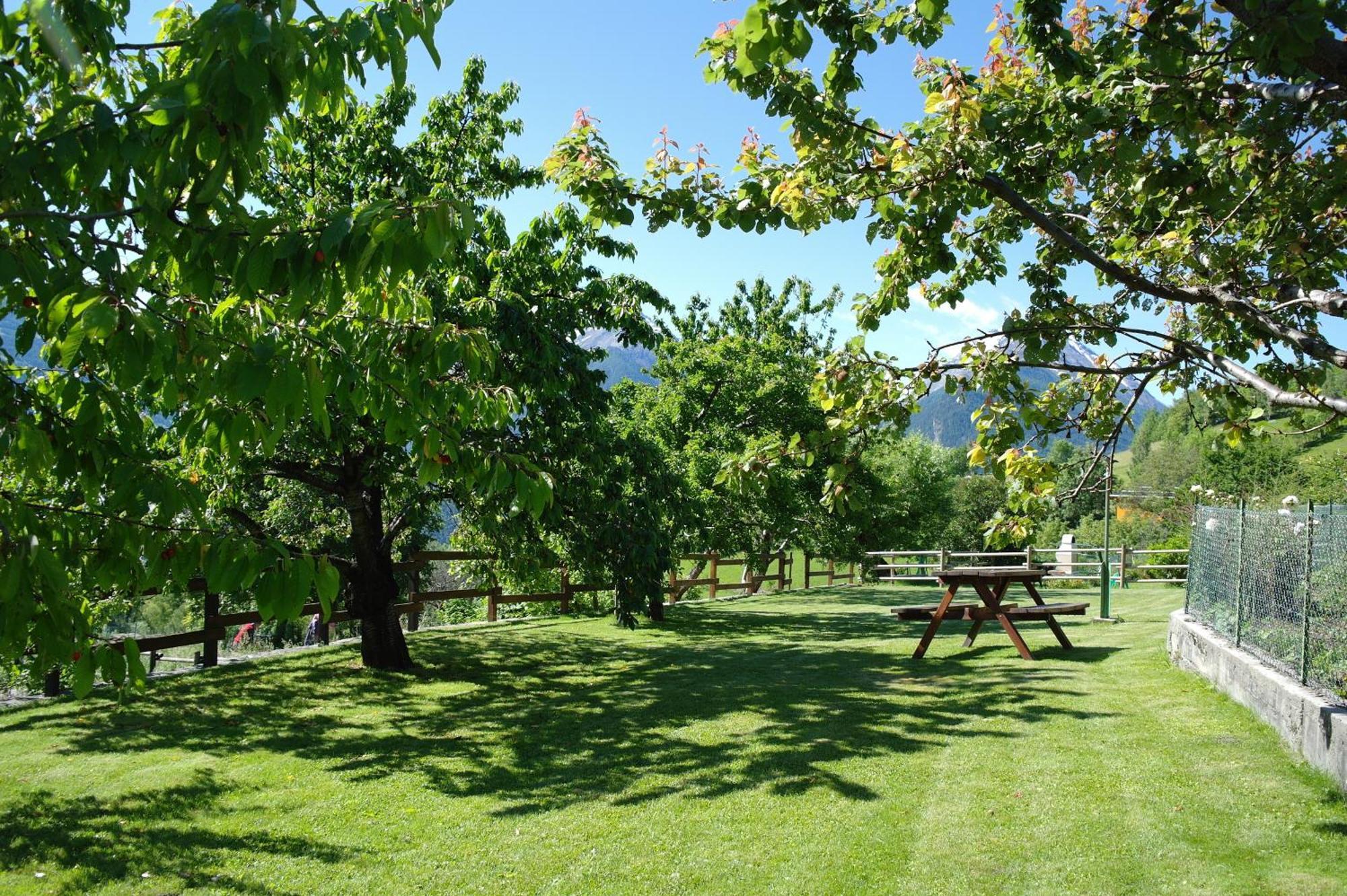 Le Vieux Noyer - Appartamenti Al Verde Villaggio Di Rumiod Saint-Pierre Εξωτερικό φωτογραφία